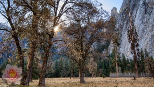 El-Capitan-Meadows-Lens-Flare.jpg