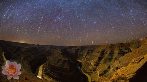 Goosenecks-Park-Geminids-46P-Orion.jpg