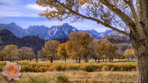 Lone-Pine-Whitney.jpg