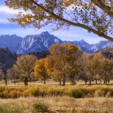 Lone-Pine-Whitney