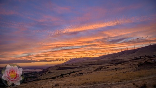 MaryHill.jpg
