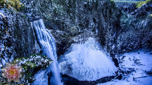 Salt-Creek-Falls.jpg