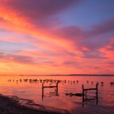 Salton-Sea-Sunrise-Bed