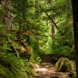 Steps-at-Iron-Creek-Falls